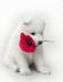 conseils pour choisir son chien